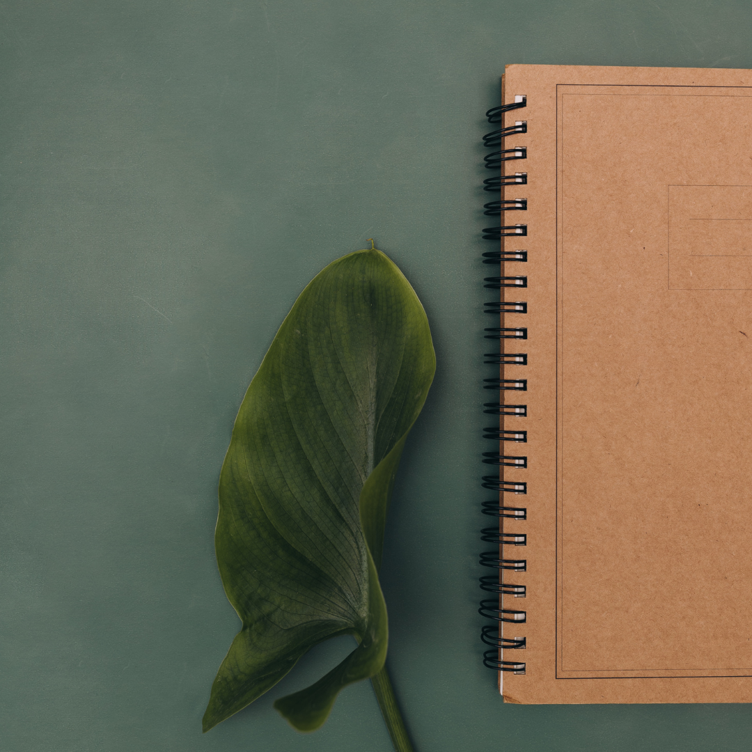 Leaf next to brown notebook on green background