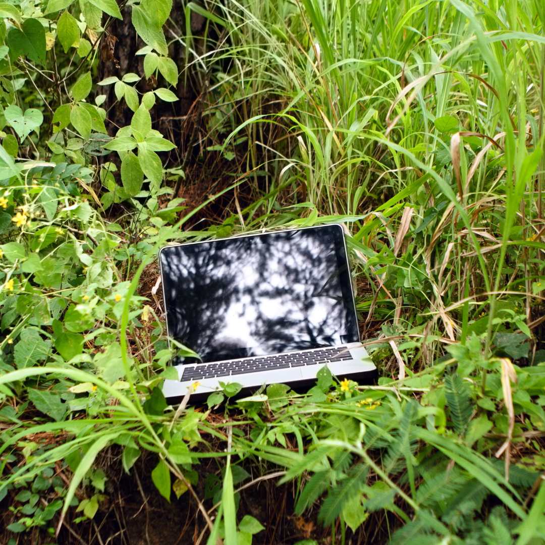 Laptop in grass